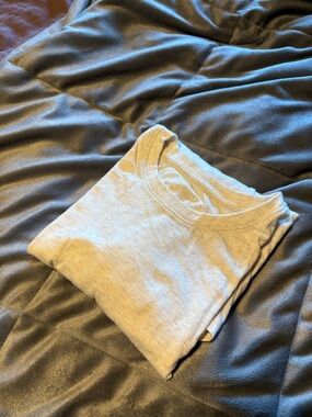 Everlane oatmeal slim long-sleeve crewneck tee